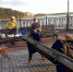 UO3KDIbh2Uw-002.jpg - Ozersk74.Ru