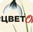 Фотоконкурс "Ёлки озёрские". Дубль V - Ozersk74.Ru