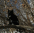 WhatsApp Image 2022-02-19 at 13.38.28 (2).jpeg - Ozersk74.Ru