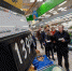 1-001-2022-04-19-74.jpg - Ozersk74.Ru