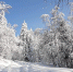 image001-001our.jpg - Ozersk74.Ru