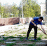 1-DSC_3121CNK-001our.jpg - Ozersk74.Ru