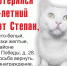 Потерялся Кот Степан.jpg - Ozersk74.Ru