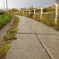 1-174-001our.jpeg - Ozersk74.Ru