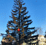 002-2-XeRVa8_47mY.jpg - Ozersk74.Ru