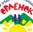 Меж сосен «Орлёнка». Аллея памяти - Управление образования г. Озёрска