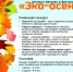 Конкурс "Эко-осень" начал прием работ! - Детская библиотека