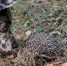 1-FN6Fc8hcBcU.jpg - Ozersk74.Ru