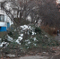 1-20241015_172742.jpg - Ozersk74.Ru