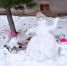 IMG-20241109-WA0001.jpg - Ozersk74.Ru