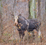 dEbypdLIuJAjOUxyMTbEwlcIL4hS78-LEtUGB7a0U8tsqs2_kFRrYFcMc6EqDVQJv79SYucBvJRRJ6ie_NUmk3cl.jpg - Ozersk74.Ru