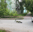 bkkwBS_tELGKRewbl8_V2bvaOrSLt9i5Px7jnX3U9o4avnIhTBQ-H89fKS5ljKsu5JknU_Adb8JFwGPXVQ98Z5hH.jpg - Ozersk74.Ru