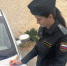 1ae469b6-db33-413b-9cf7-6e4ecc260313.jpg - Ozersk74.Ru
