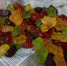DSC02273.jpg - Ozersk74.Ru
