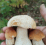 0-M0-G340W0MuD7CgYHot5pH0bfyugqqEOSfgyiZzCCP6I_lxTHF95WafZiwdumZ.jpg - Ozersk74.Ru