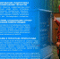 image-05-12-25-08-48-1.png - Ozersk74.Ru