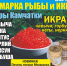 001-2025-12-10-fish.jpg - Ozersk74.Ru