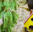 kIpqjjOGWjwaq2os1lfWllMm6tey5MSxTLWLAxmDU1pnN5ccfVL-lxbDKHWpRTAjZ5beOWSXCXY3PExAMyR89PFz.jpg - Ozersk74.Ru
