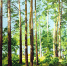 10-20260302-125407our.jpg - Ozersk74.Ru