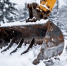 001-2026-03-11-uborka.jpg - Ozersk74.Ru