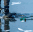 dvoe_priezzhikh_provalilis_pod_led_na_ozere_v_chelyabinskoy_oblasti.jpg - Ozersk74.Ru