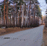 1-IMG20260416062923.jpg - Ozersk74.Ru