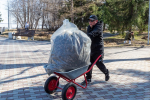 Жители Озерска приняли участие во Всероссийском субботнике